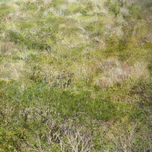 Naturaleza y Paisaje thumbnail 2