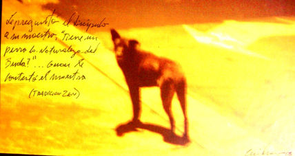 Perro mirando por...