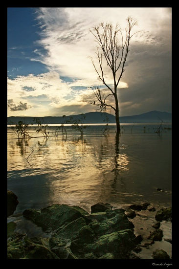 Chapala 