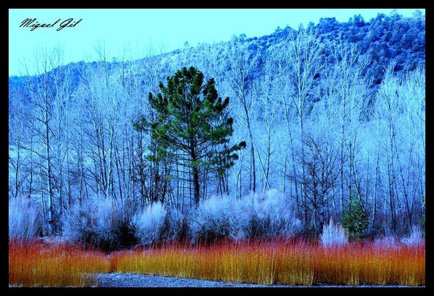 Yporque............ Naturaleza Color (Digital)