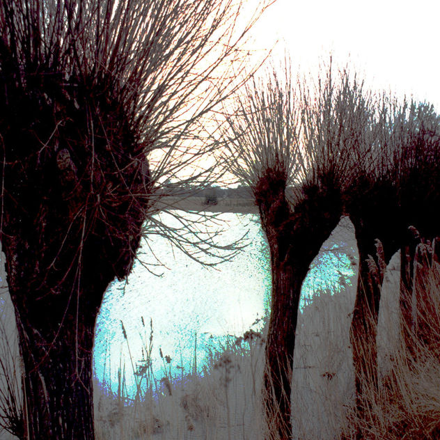 Serie invierno. Zyklus Winter.