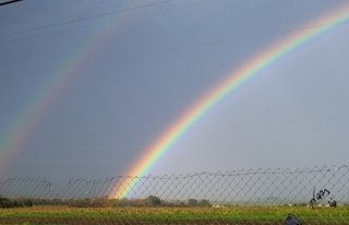 Doble promesa Naturaleza Color (Digital)