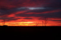 Atardecer