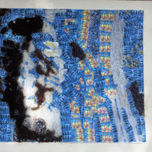 HUELLAS thumbnail 1