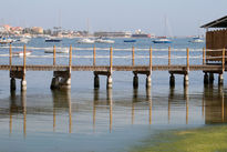 Reflejos en febrero