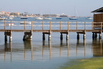 Reflejos en febrero