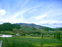 Valle de constanza