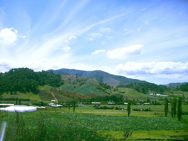 VALLE DE CONSTANZA 