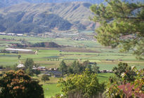 Valle de constanza ii