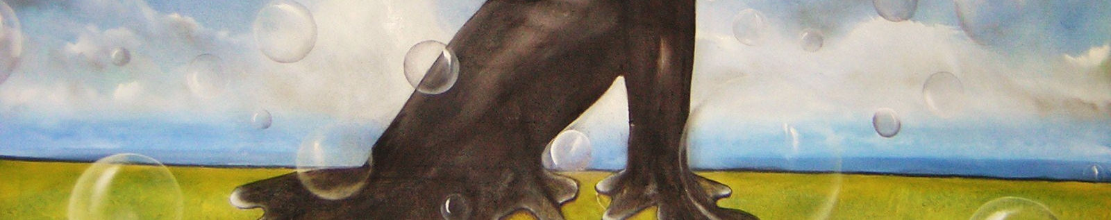 Imagen de portada