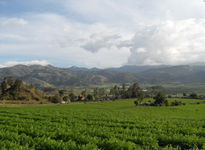 Valle de constanza v