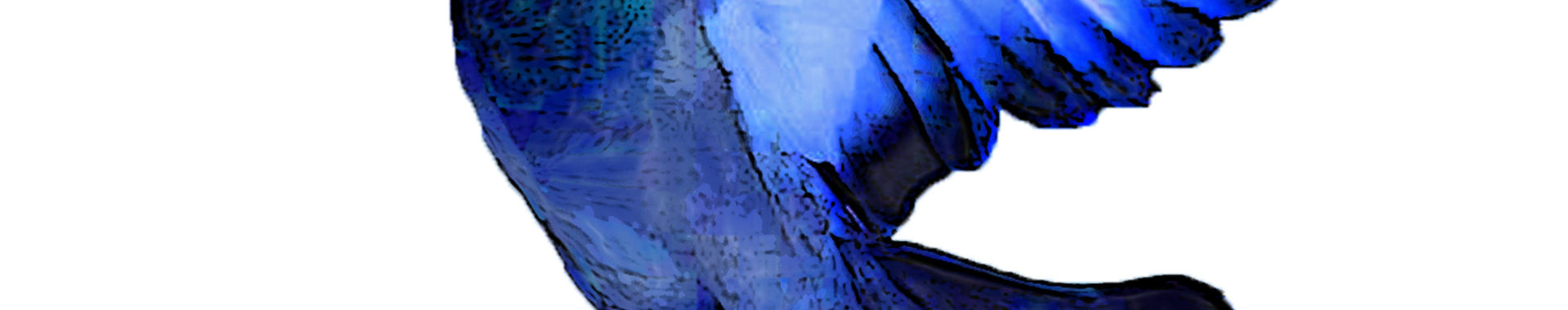 Imagen de portada