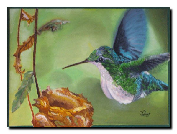 Colibrí Oil Canvas Animals