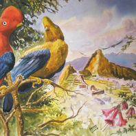 obra