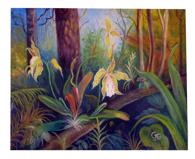 orquideas amarillas