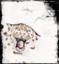 Dibujos