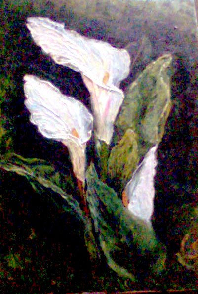 CARTUCHOS