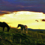 primeras fotos en artelista thumbnail 1