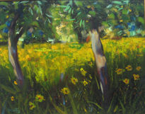 Campo de margaritas