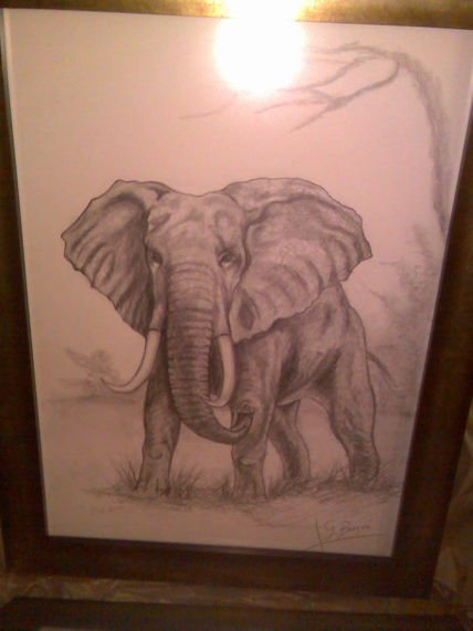El elefante