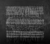 ornamentacion-vulva