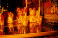 Redscale Gatos