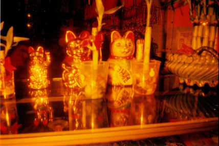 Redscale Gatos