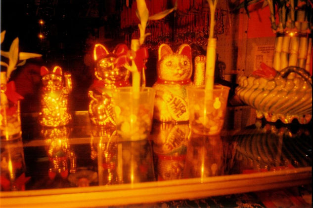 Redscale Gatos 