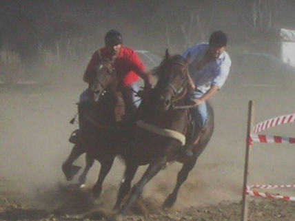Carrera de caballos-1
