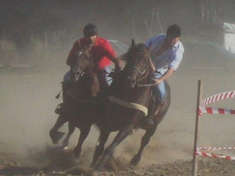 Carrera de caballos-1