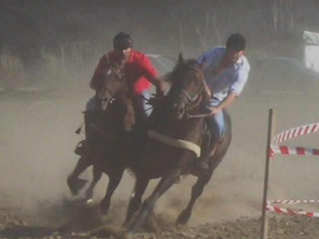 CARRERA DE CABALLOS-1 Deportiva Color (Digital)