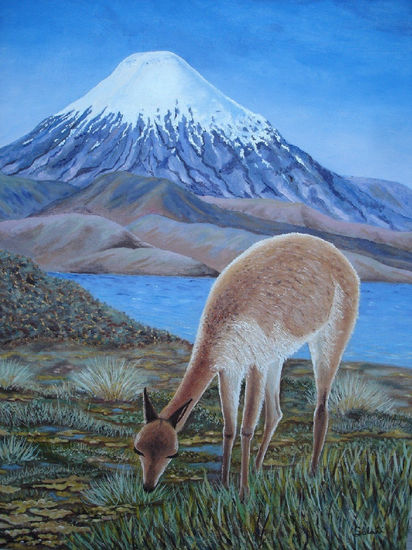 Vicuña, lago Chungará Óleo Lienzo Paisaje