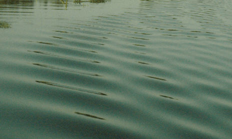 El río Paraná en San Pedro, Buenos Aires