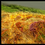 Cantabria thumbnail 2