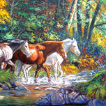 PAISAJE thumbnail 1