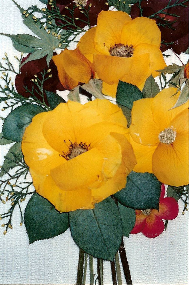 ROSAS AMARILLAS