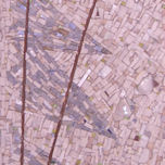 contaminaciones thumbnail 1
