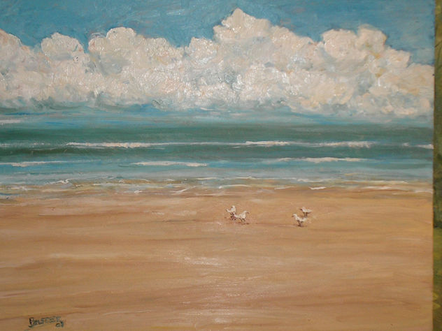 PLAYA TRANQUILA