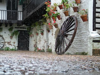 Bajo la Lluvia