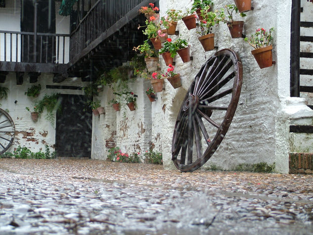 Bajo la Lluvia 