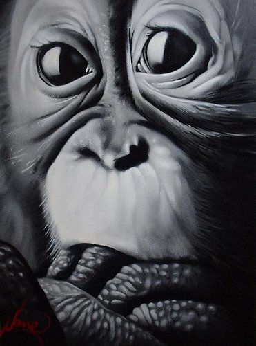Monkey