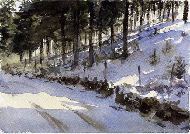 Camino en el bosque Watercolour Paper Landscaping