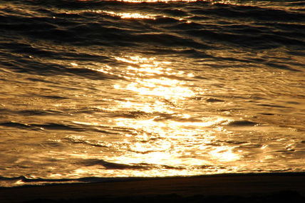 Reflejos