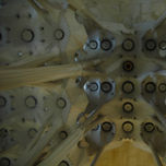 Arquitectura thumbnail 2