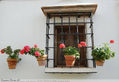 Ventana con Macetas de Geranios.