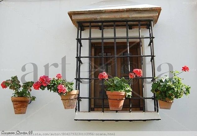 Ventana con Macetas de Geranios. Otras temáticas Color (Digital)