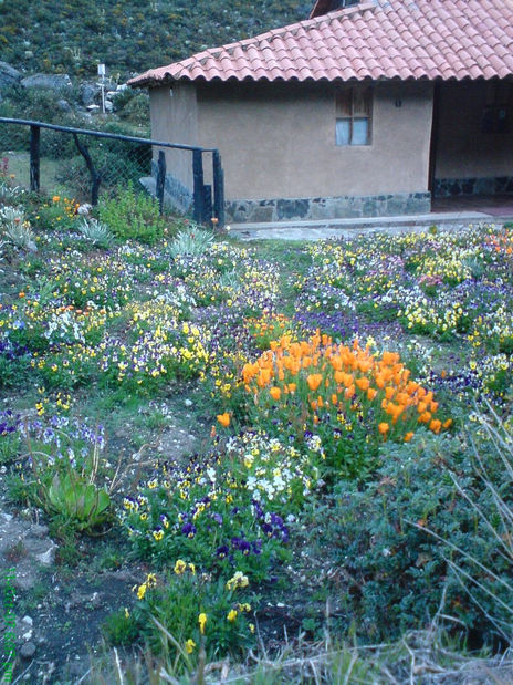 Jardin