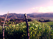 Empalizada en el valle