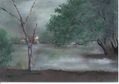 Paisaje neblinoso
