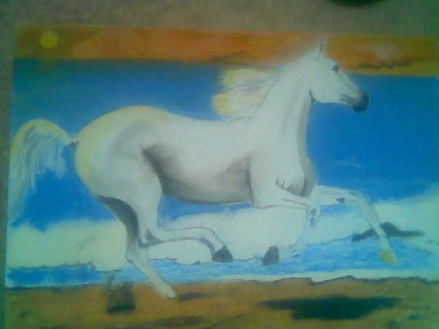 CABALLO EN LA PLAYA